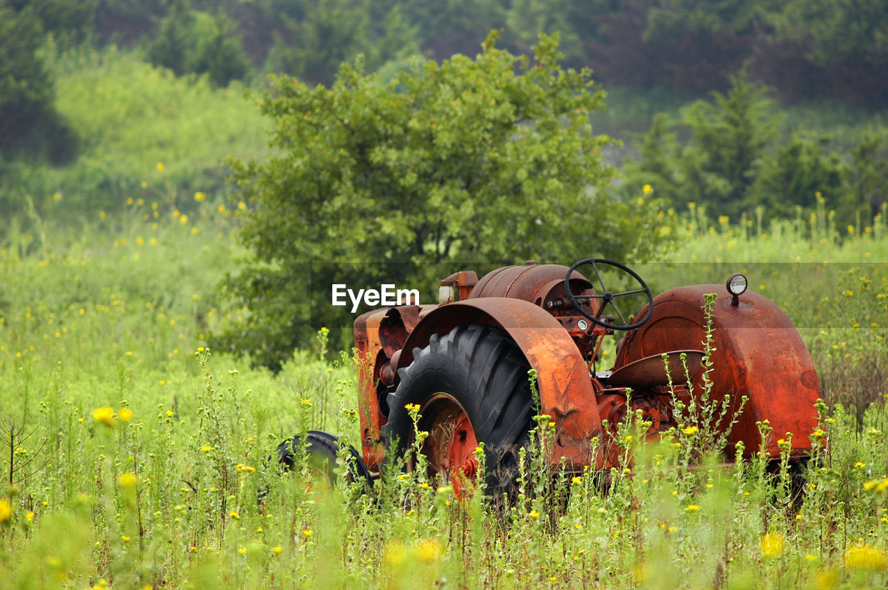 Old tractor amidst plants on field