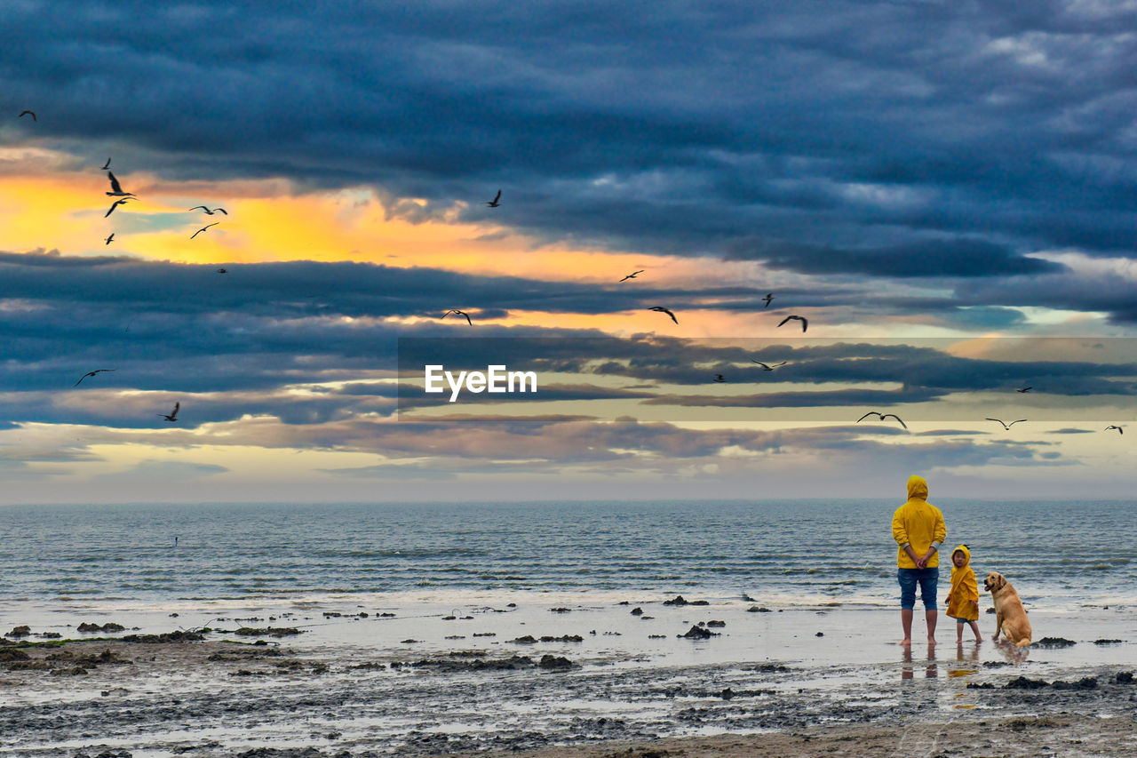 Rear view of men on beach against sky during sunset