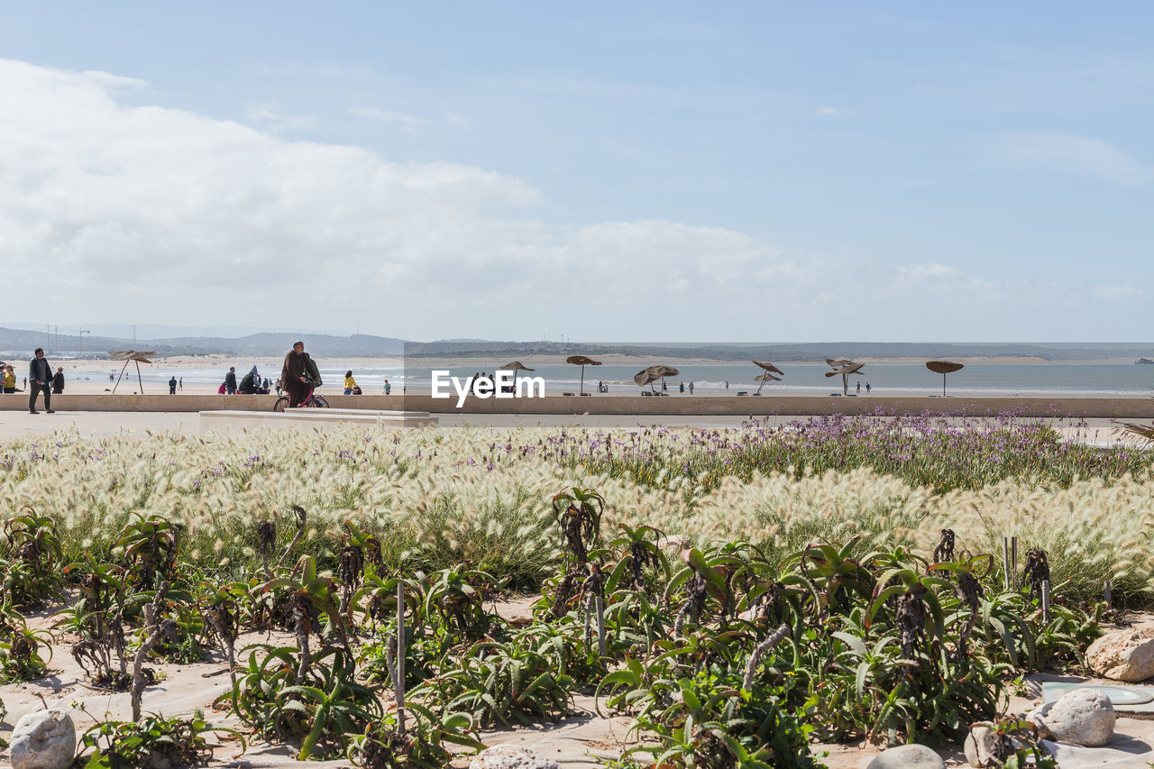 PEOPLE ON BEACH AGAINST SKY