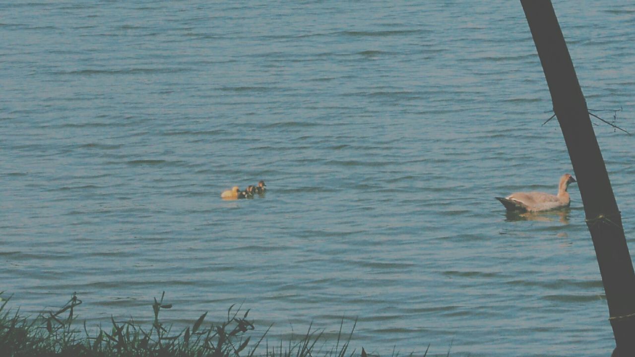 VIEW OF BOATS IN WATER