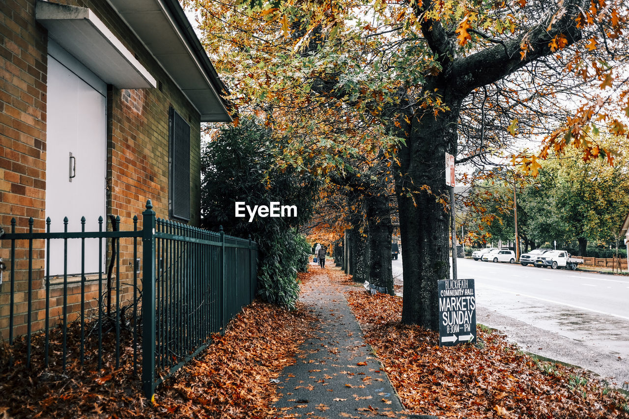 autumn, tree, plant, architecture, leaf, plant part, built structure, nature, building exterior, day, building, footpath, urban area, no people, neighbourhood, outdoors, the way forward, city, growth, orange color, street, fence, falling, winter, house, beauty in nature, residential district, spring