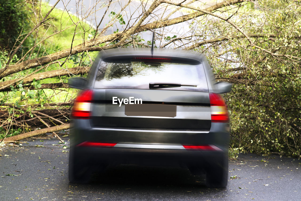 Car auto in motion crashing into tree knocked down by storm