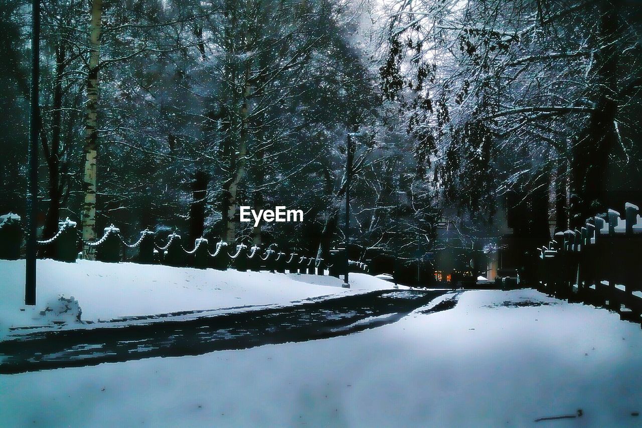 Low angle view of snow covered trees