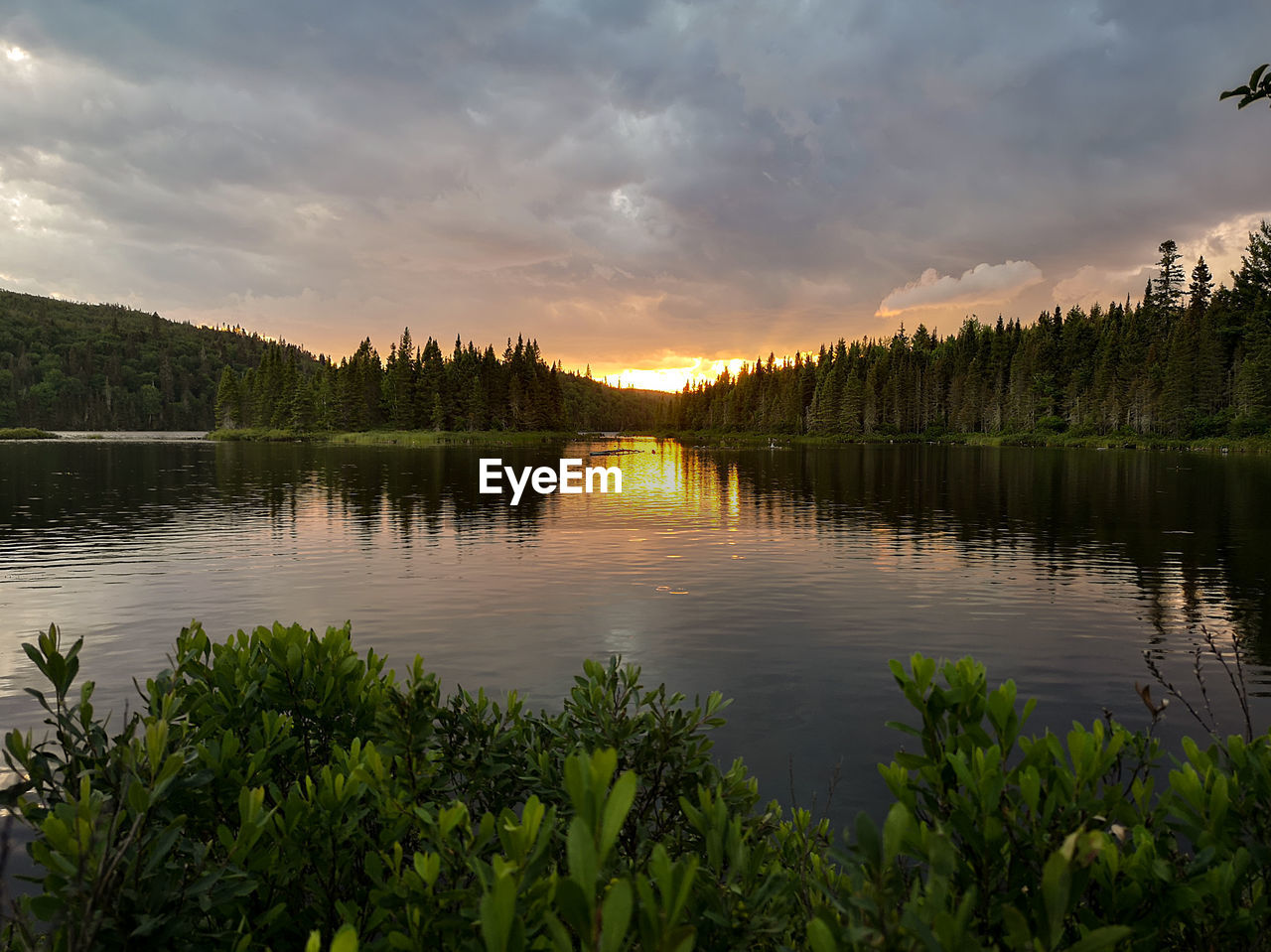 SCENIC VIEW OF LAKE BY TREES AGAINST SKY