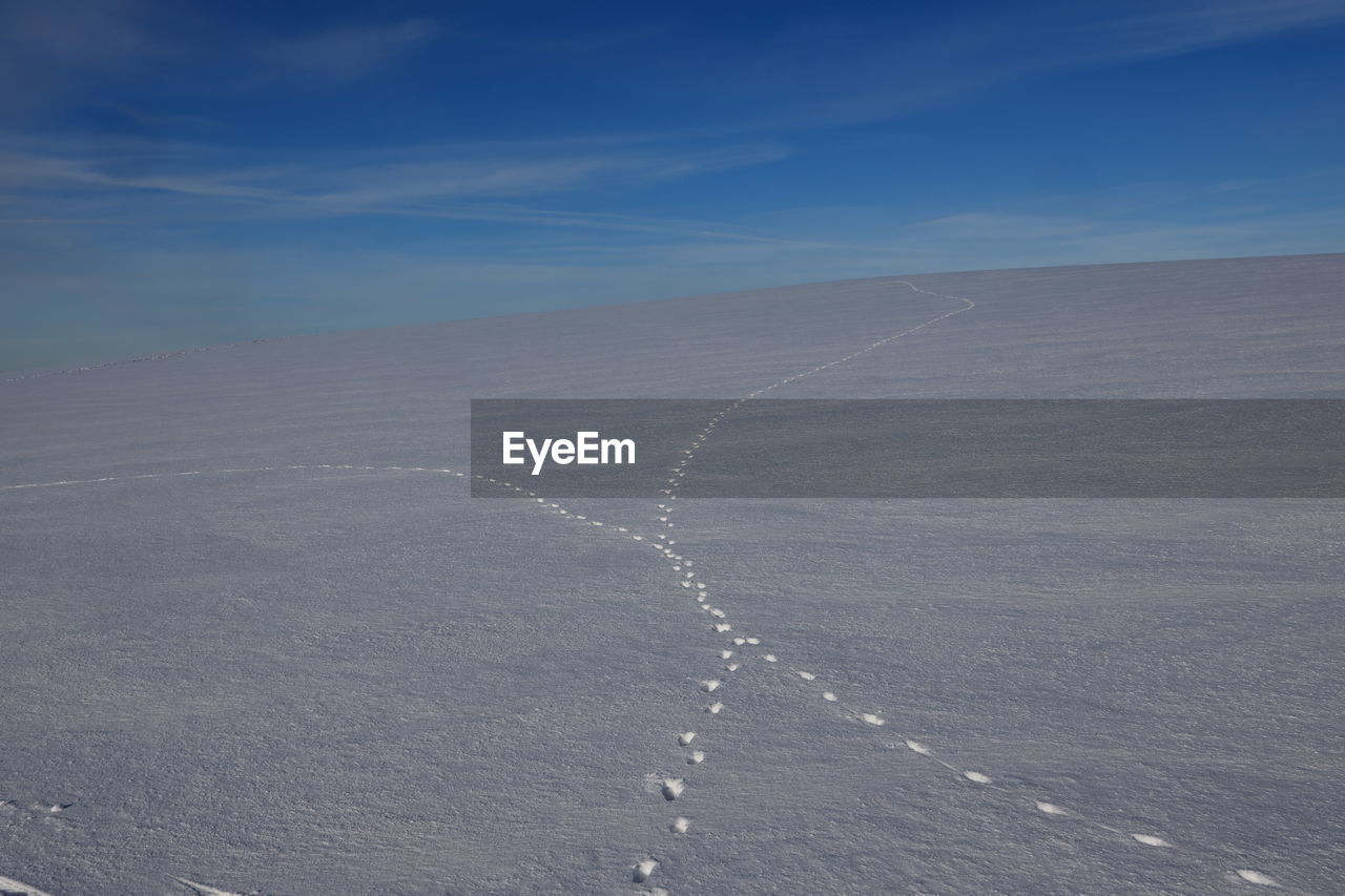 Scenic view of snow landscape with animal traces against blue sky