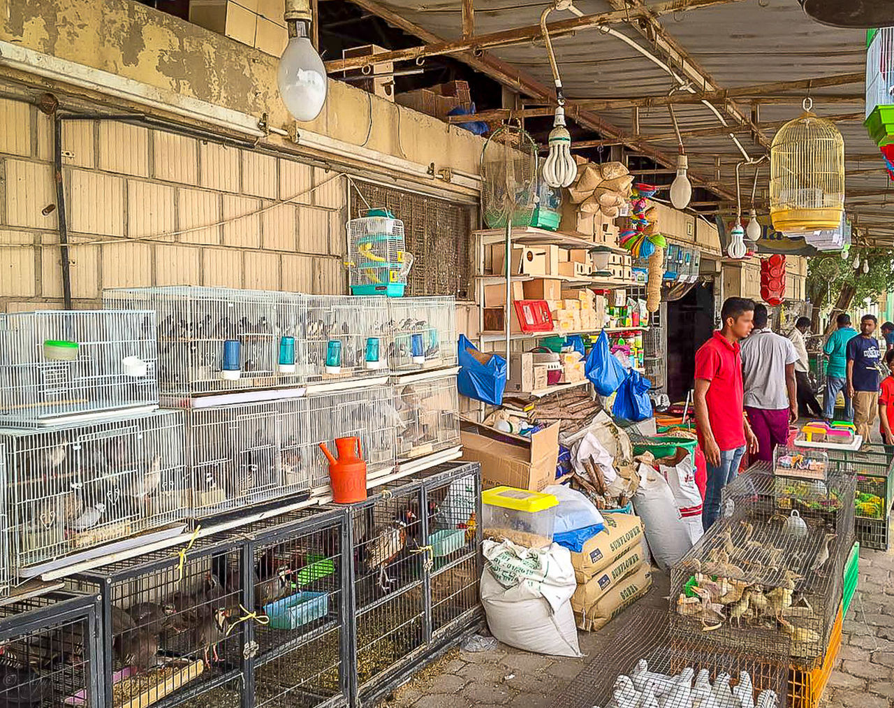 MARKET STALL FOR SALE