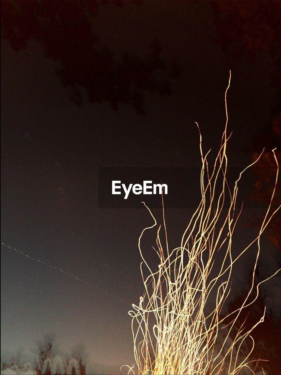 LOW ANGLE VIEW OF TREES AGAINST SKY AT NIGHT