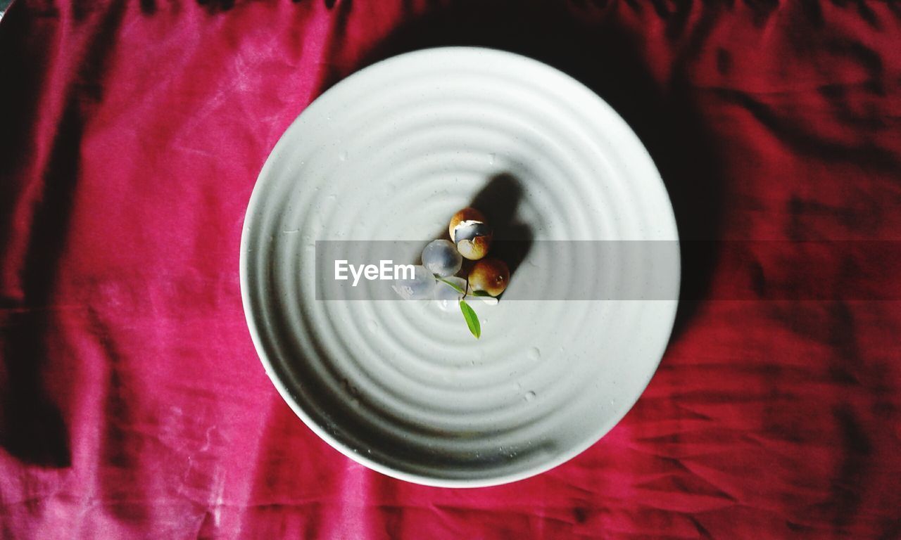 HIGH ANGLE VIEW OF INSECT IN PLATE