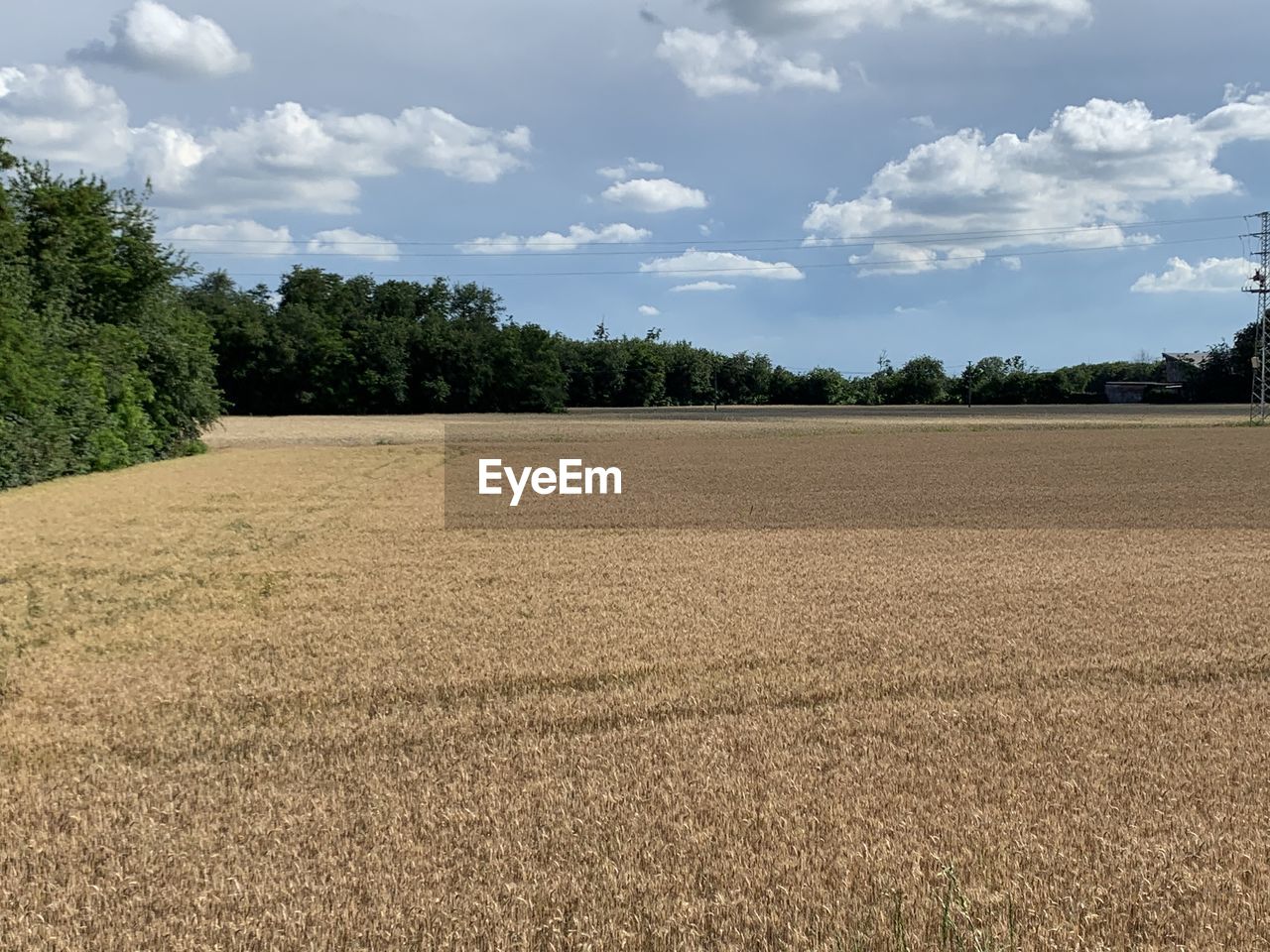 FIELD AGAINST SKY