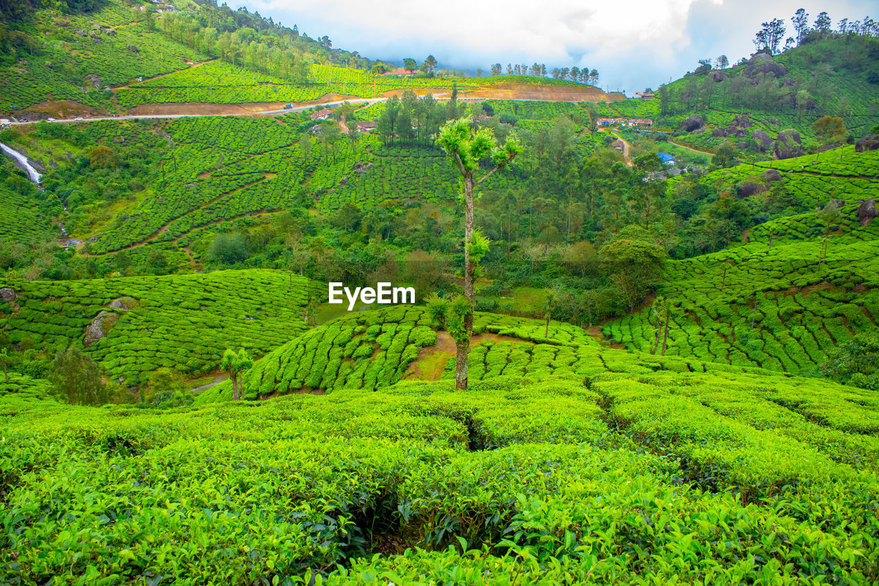 SCENIC VIEW OF FARM AGAINST SKY