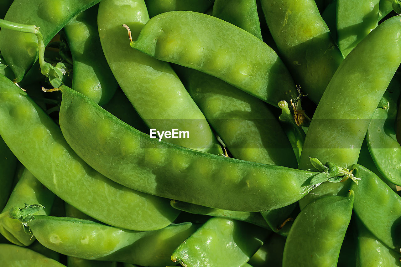 Full frame of young ripe pea pods for background, food delivery from the market, farm