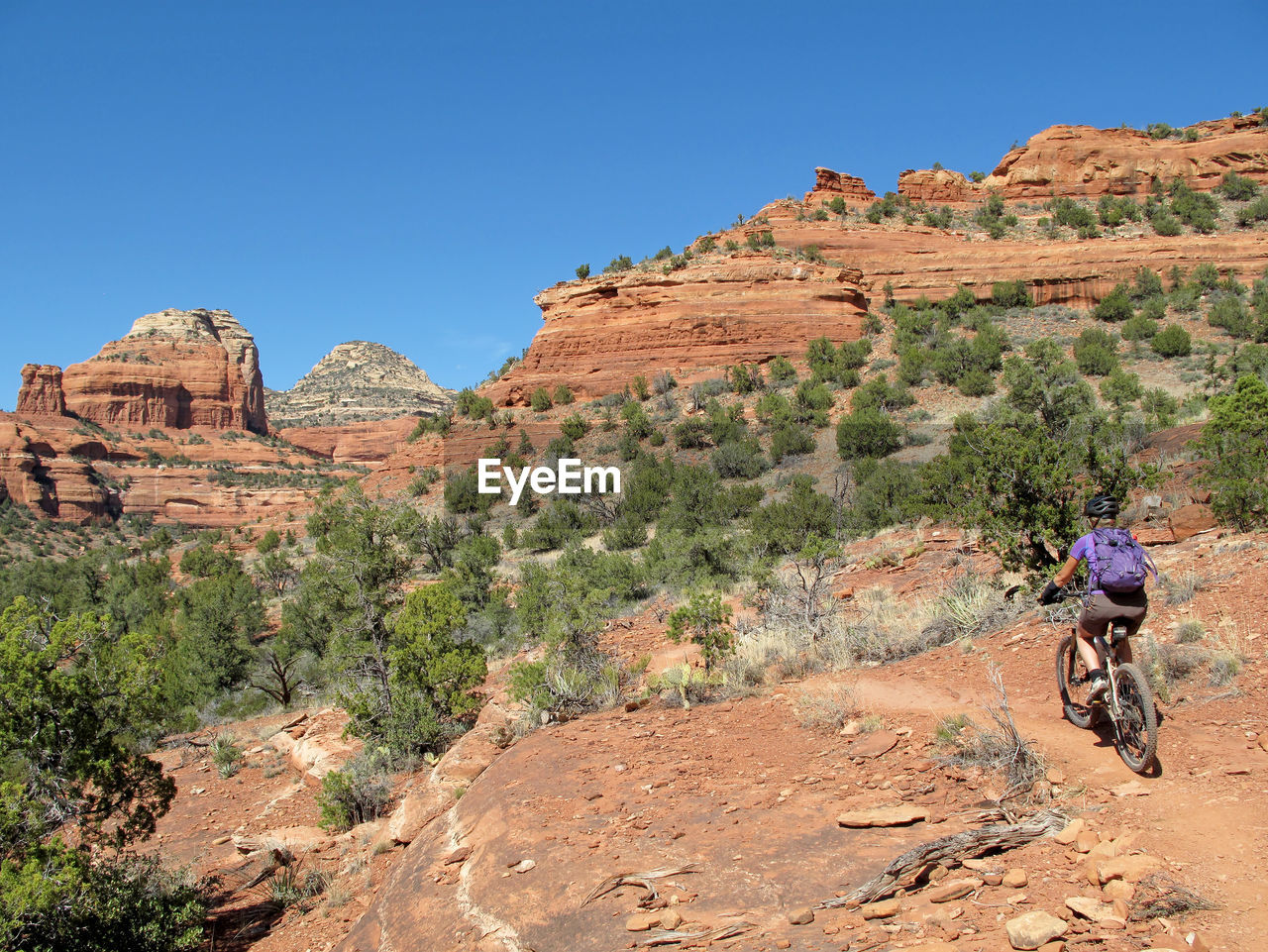 Rear view of woman riding bicycle on dirt road against clear sky