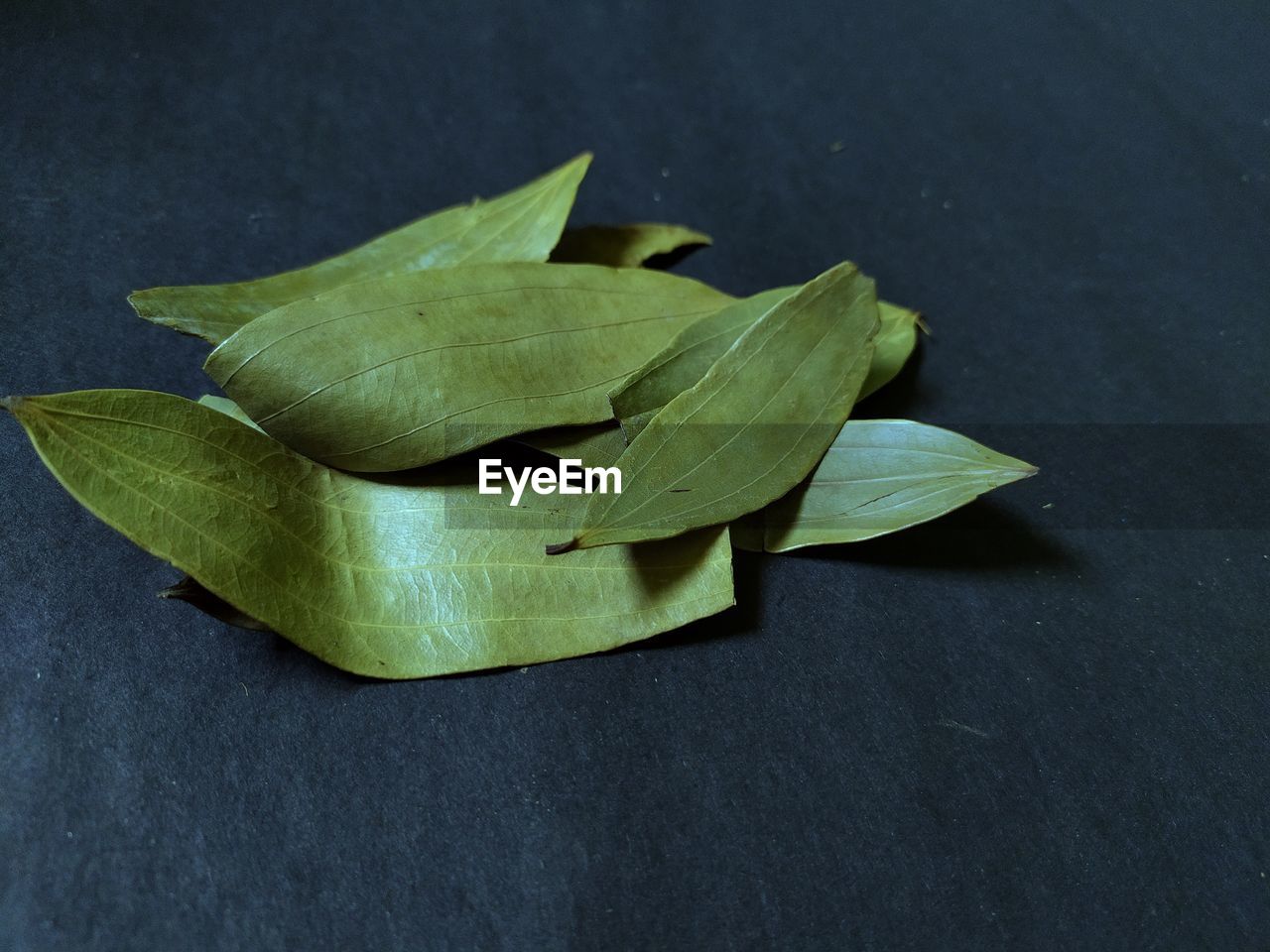 HIGH ANGLE VIEW OF LEAF ON TABLE