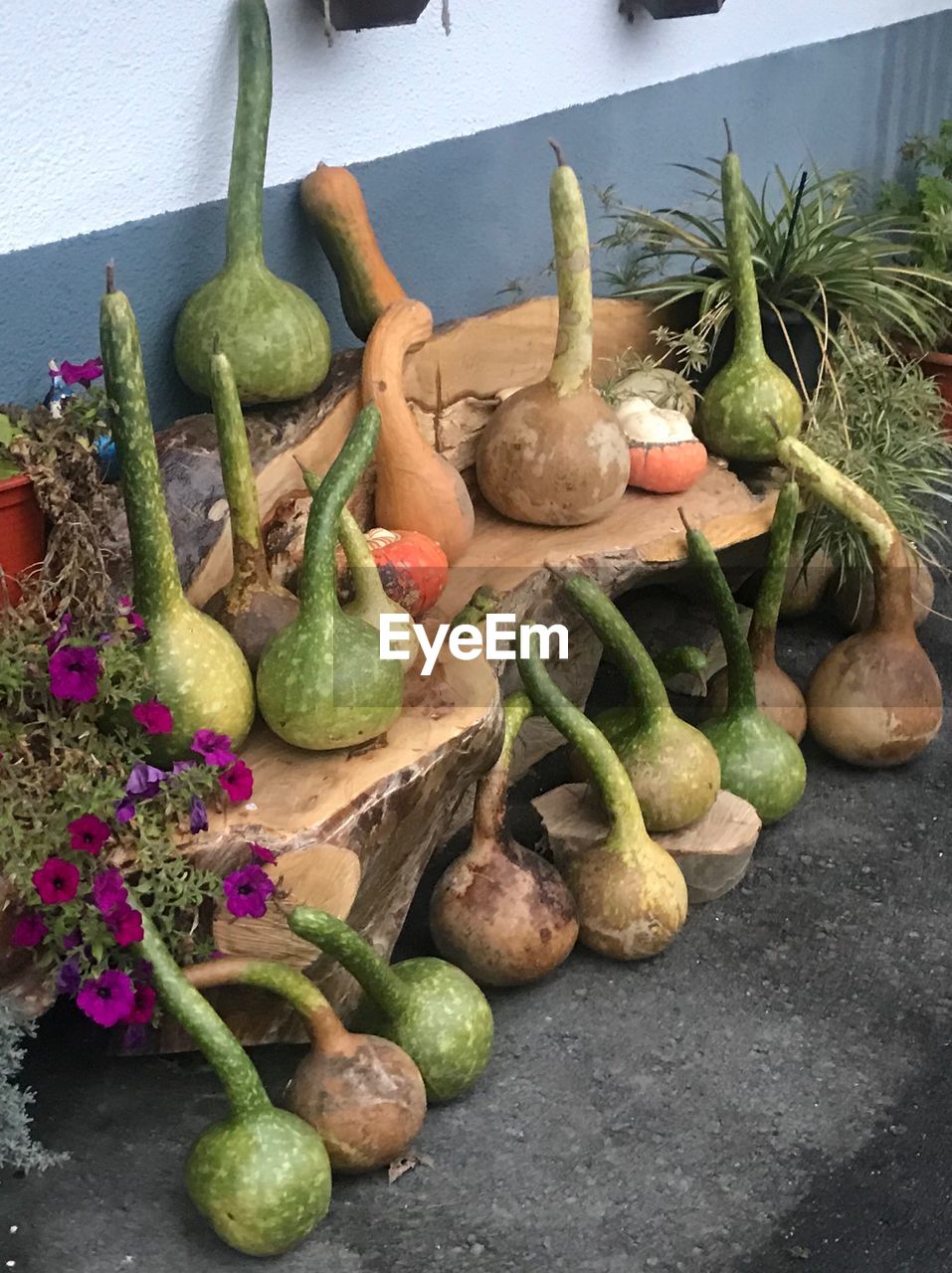 CLOSE-UP OF VEGETABLES