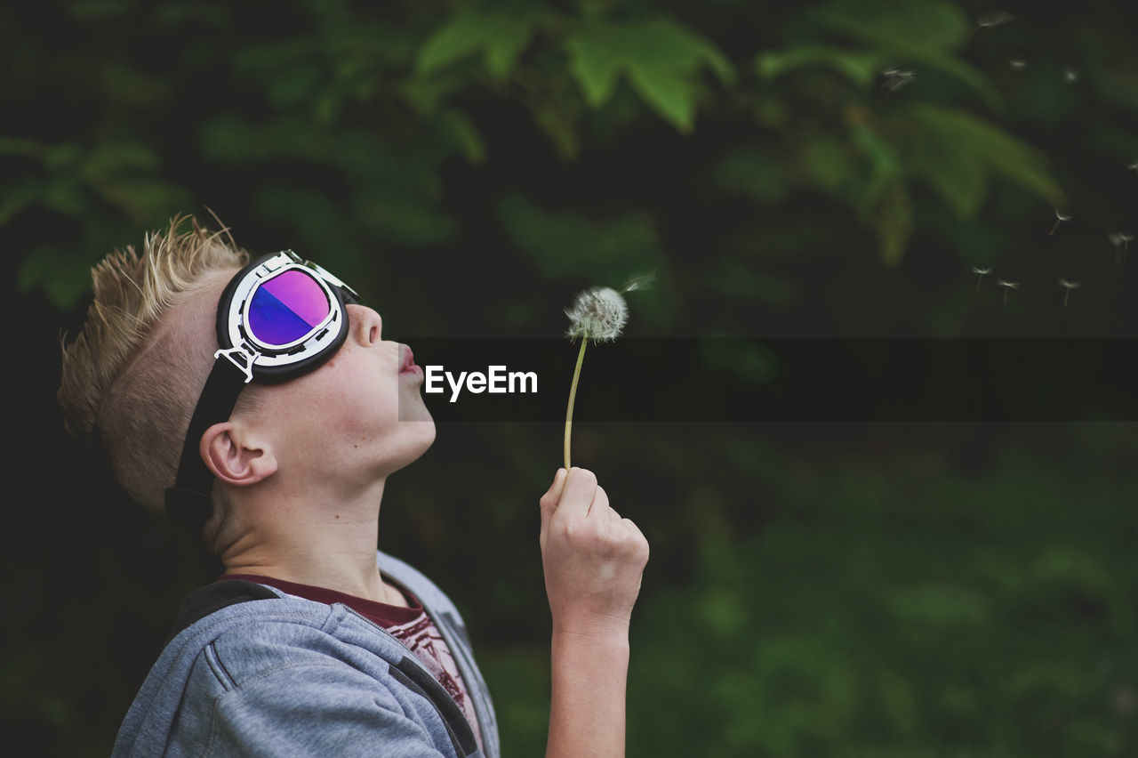 Close-up of boy blowing dandelion