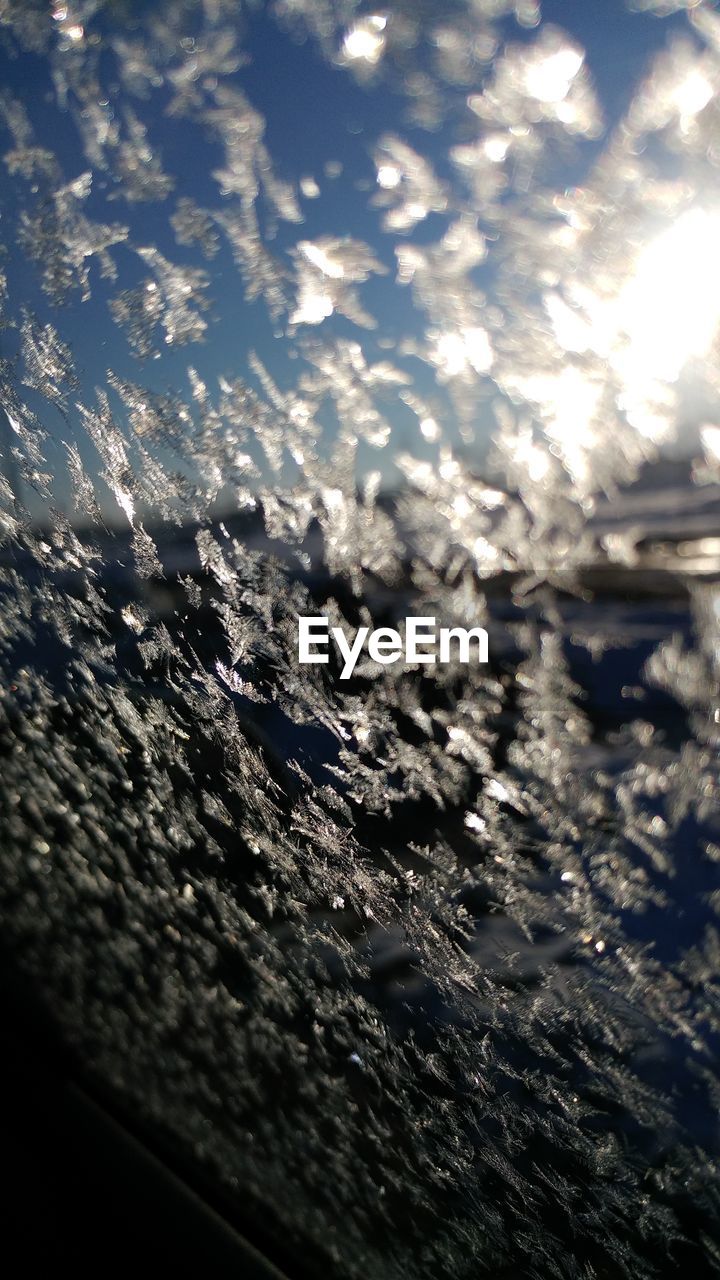 CLOSE-UP OF SNOW ON SHORE