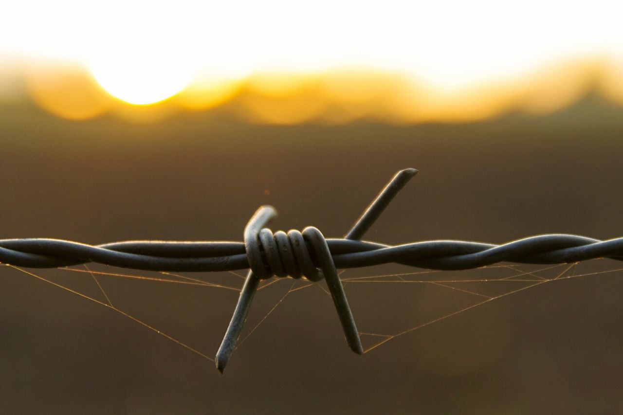 Close-up of spider web on barbed wire during sunset