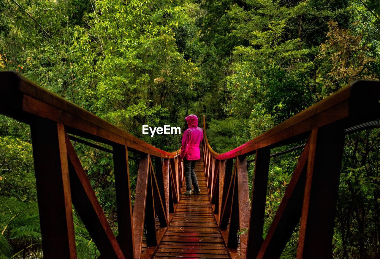 Woman standing on footbridge against trees