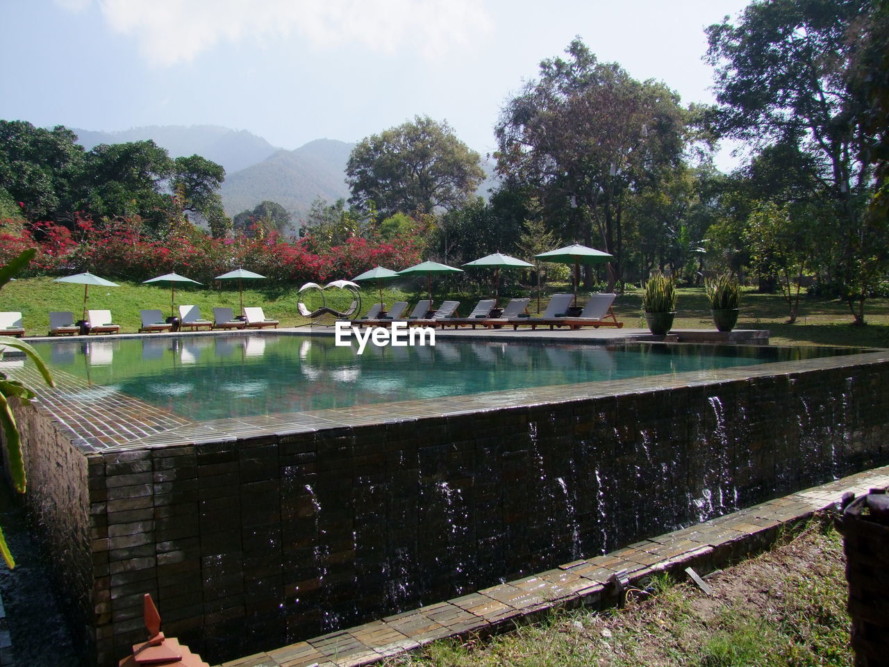 SWIMMING POOL AGAINST TREES AND SKY