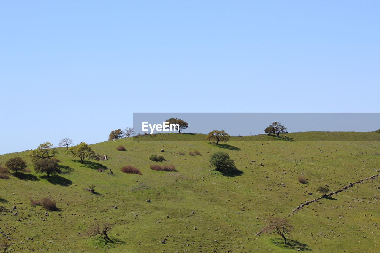 SCENIC VIEW OF LAND AGAINST CLEAR BLUE SKY