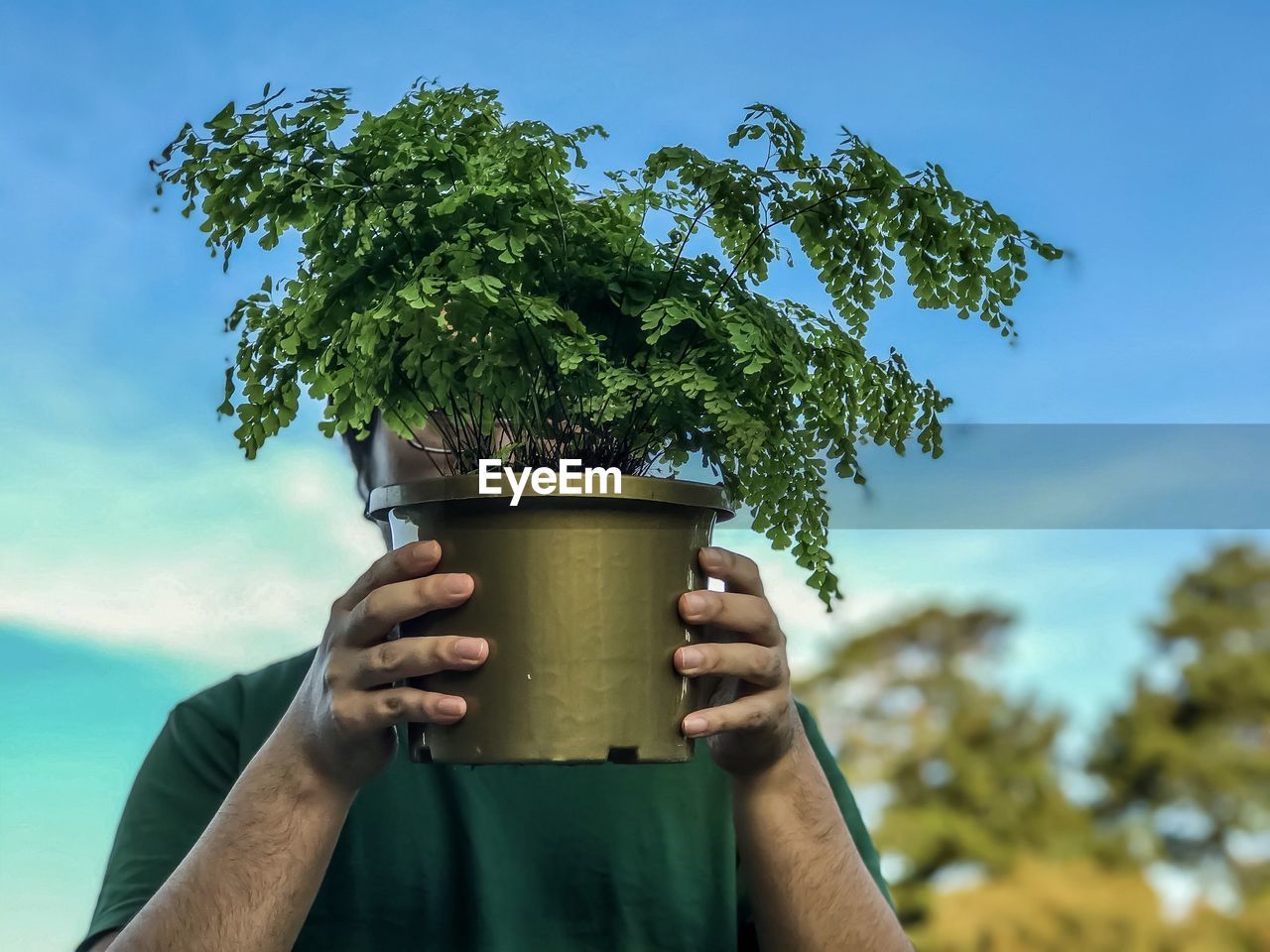 Low angle view of man holding potted plant against blue sky.