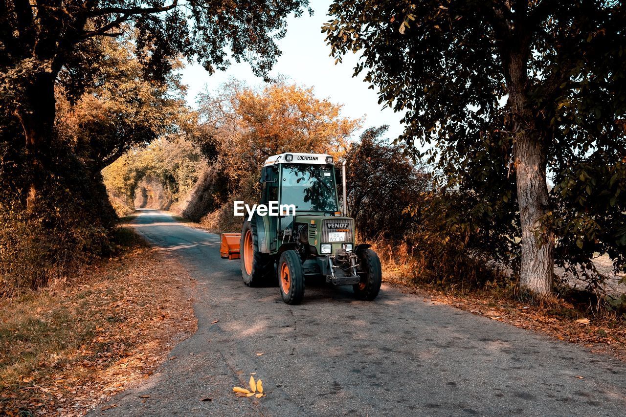 Road amidst trees on field in forest