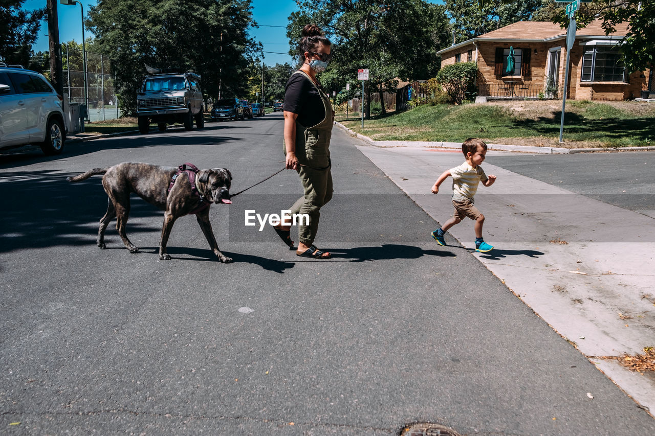 Mother and young son crossing the street with dog on a sunny day