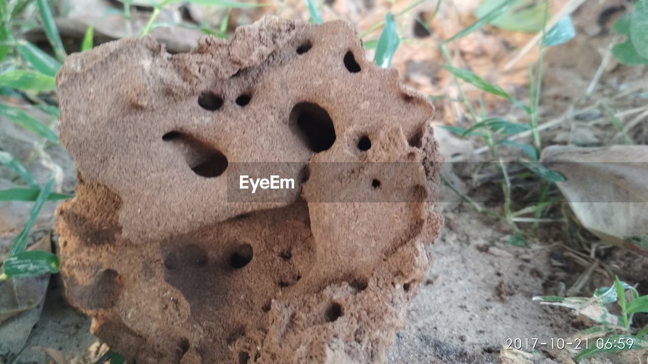 CLOSE-UP OF STONE FIELD