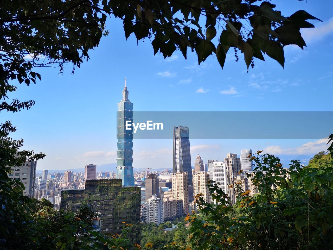 Skyline of taipei seen from elephant hill.