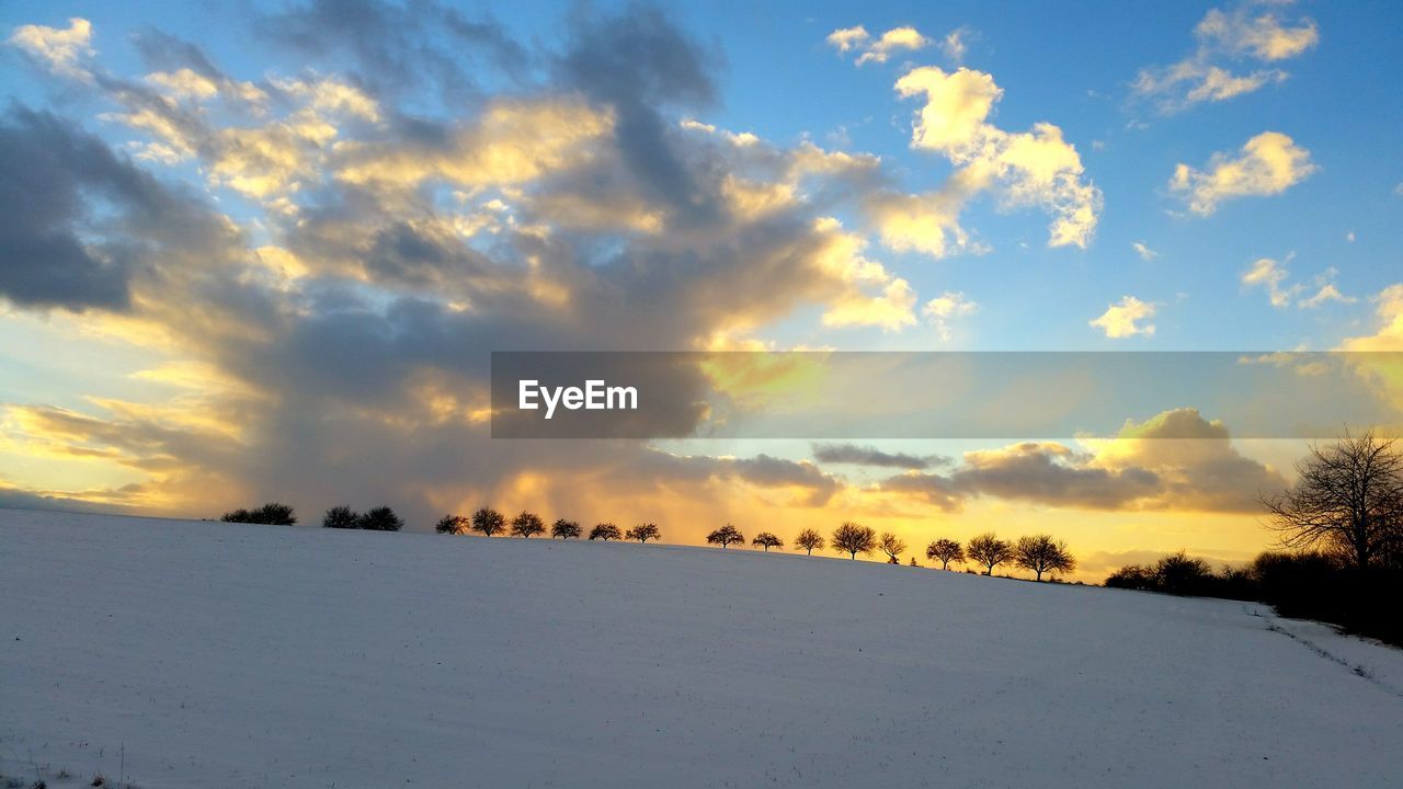 BIRDS ON LANDSCAPE AGAINST SKY DURING SUNSET