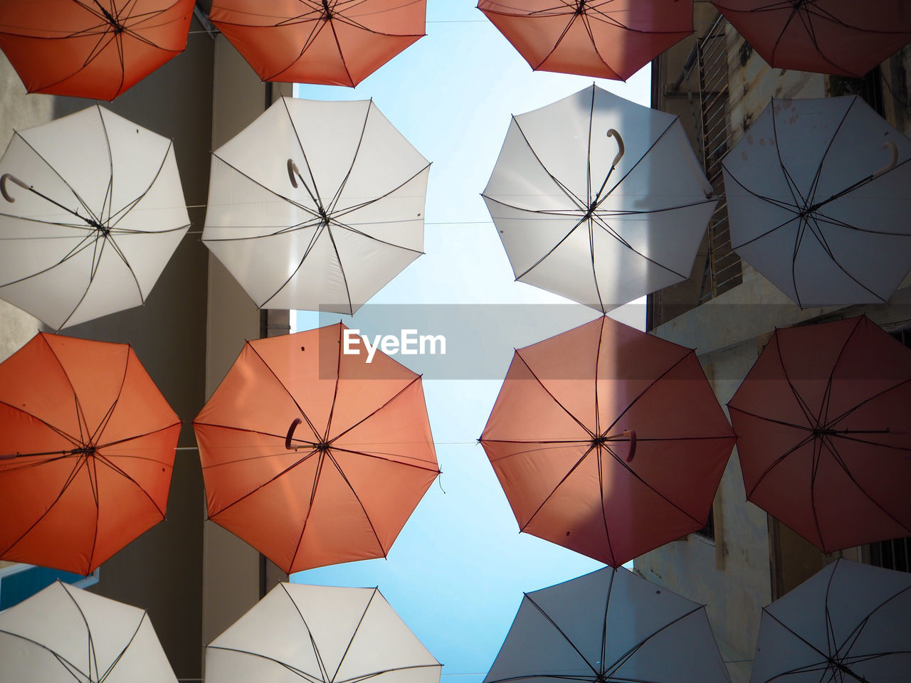 LOW ANGLE VIEW OF UMBRELLAS