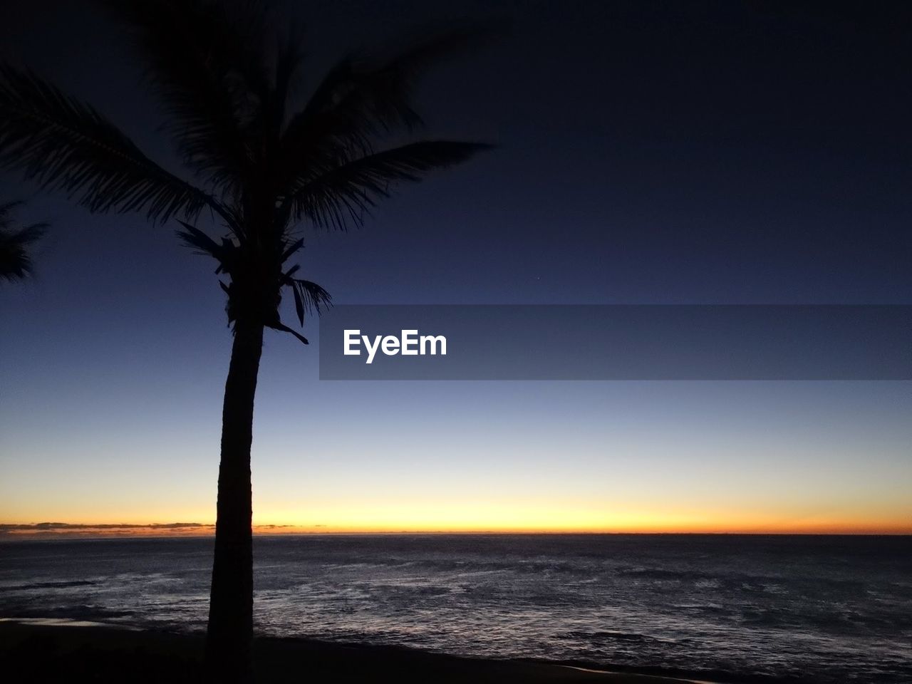 SILHOUETTE PALM TREE BY SEA AGAINST CLEAR SKY