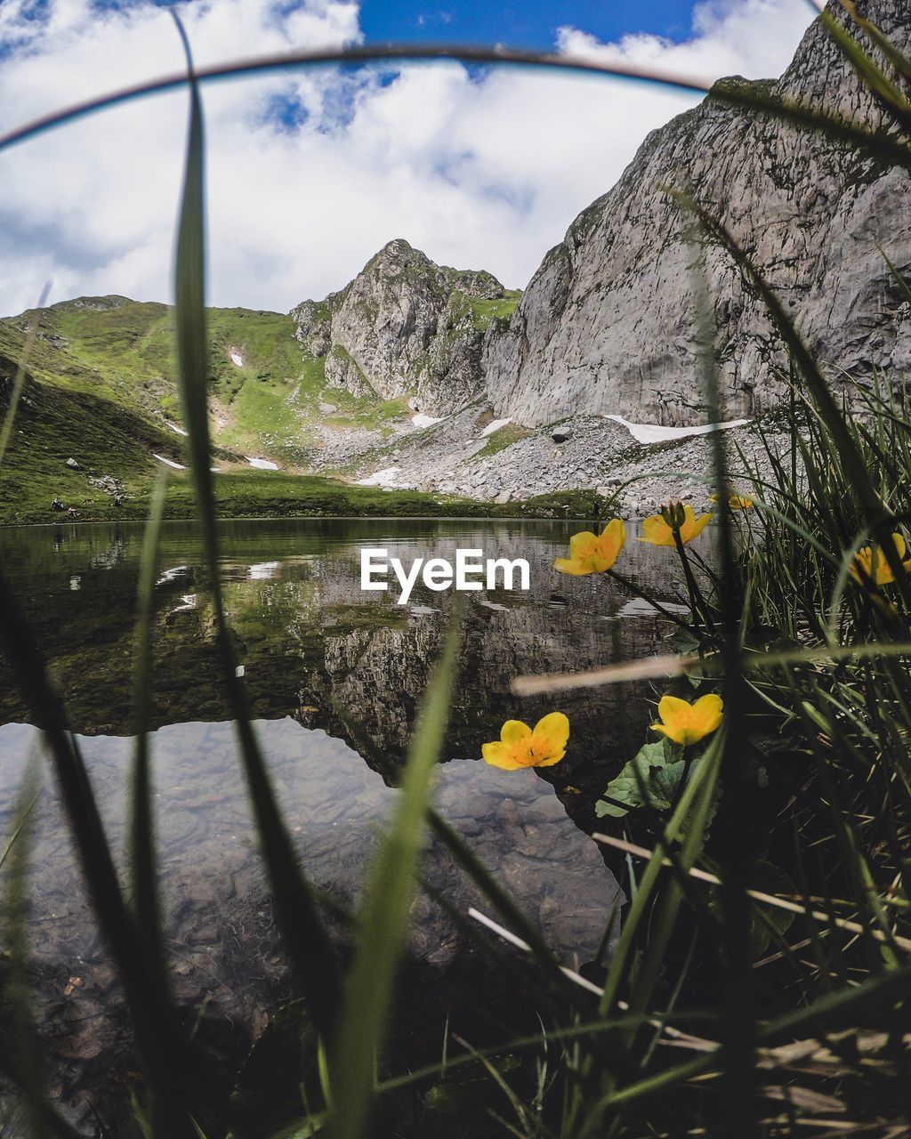 SCENIC VIEW OF YELLOW FLOWERING PLANTS ON MOUNTAIN