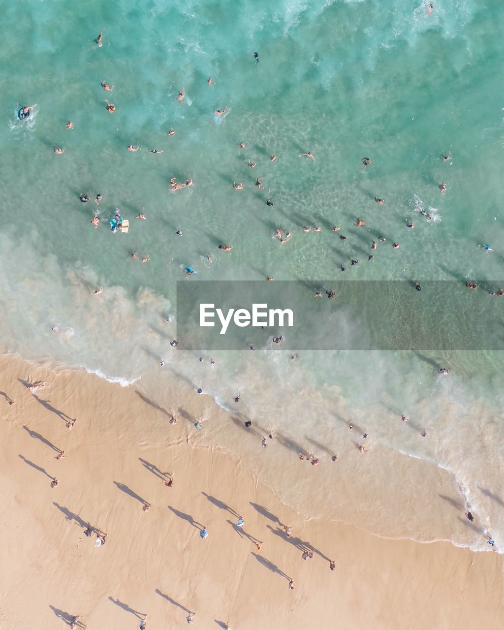 People on the beach during a sunny day