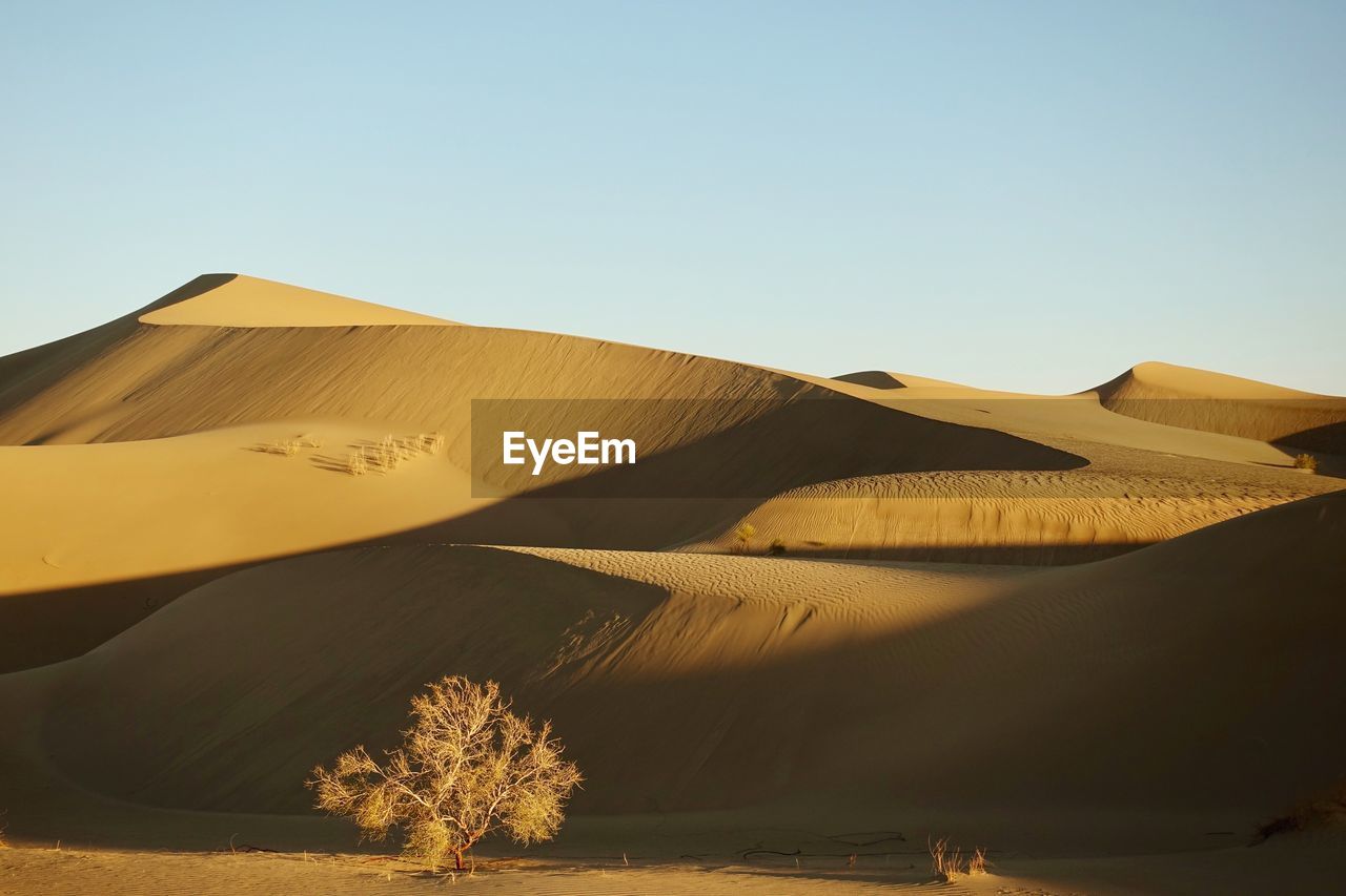 Scenic view of desert against clear sky