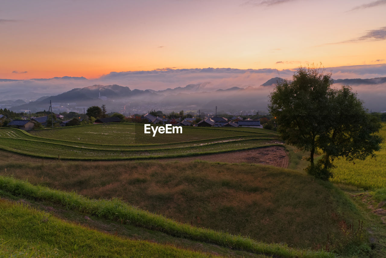 Scenic view of agricultural field against sky during sunset