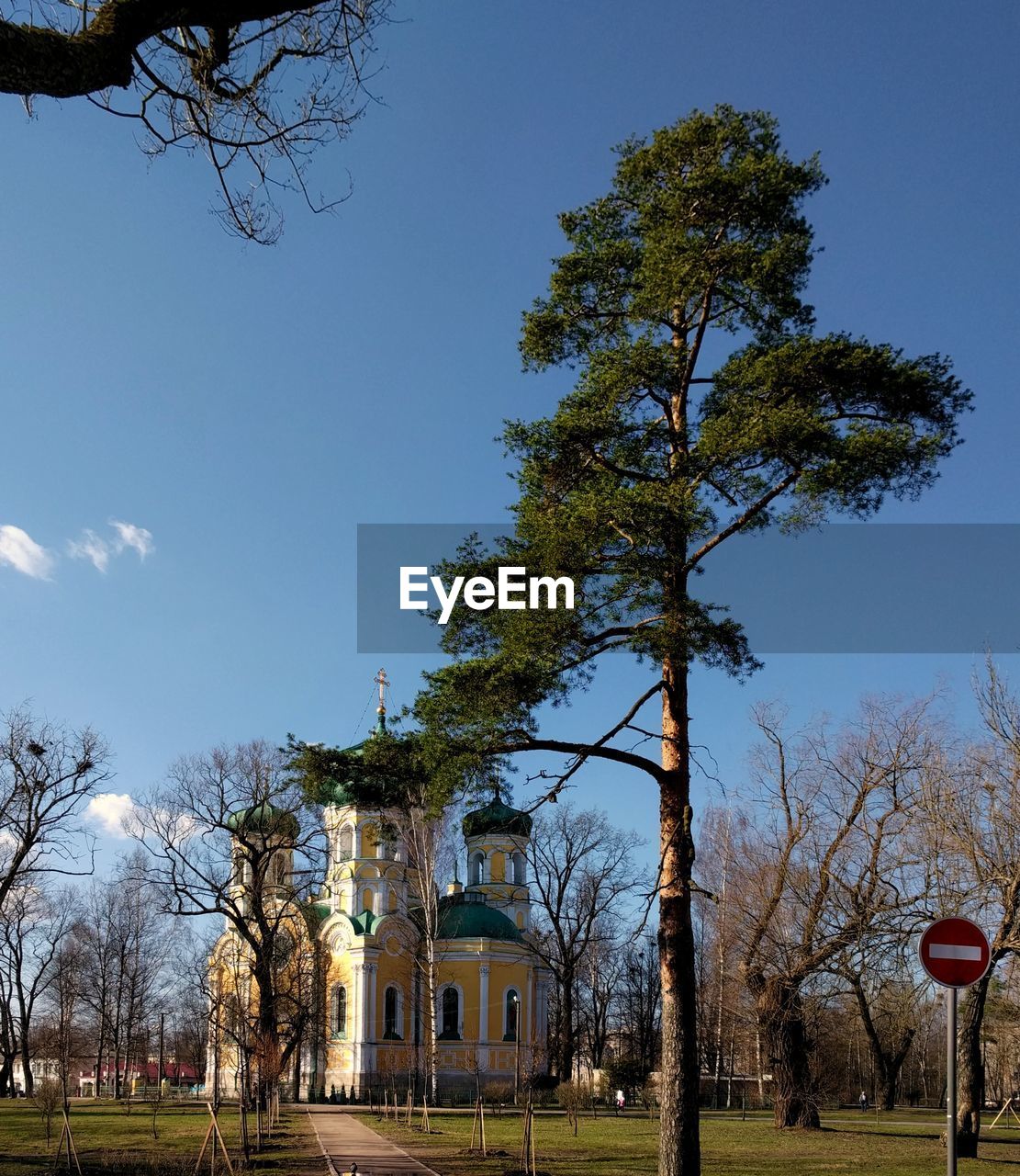 TREES AND BUILDINGS AGAINST BLUE SKY