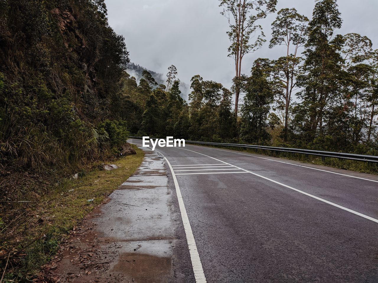 EMPTY ROAD AMIDST TREES AGAINST SKY