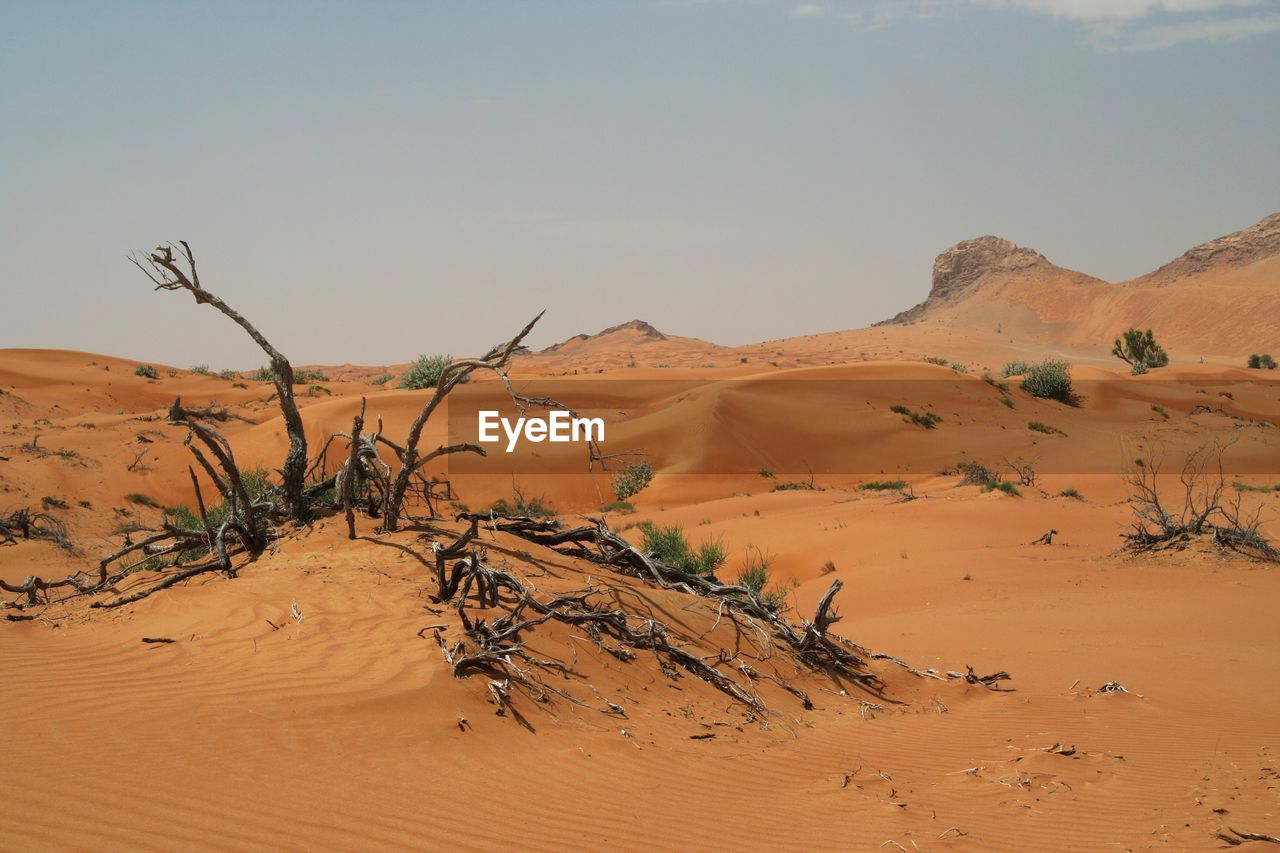 SCENIC VIEW OF SAND DUNE AGAINST SKY