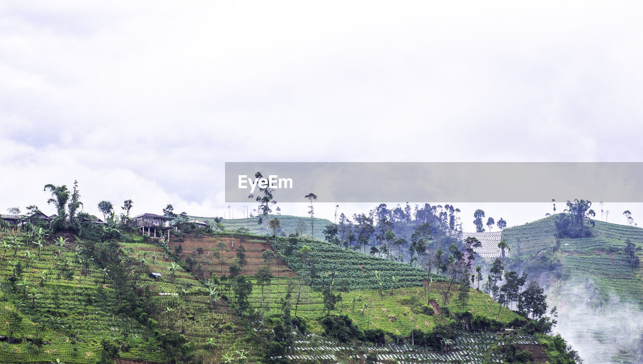 Agriculture on a plateau, precisely on the hillside under the sky