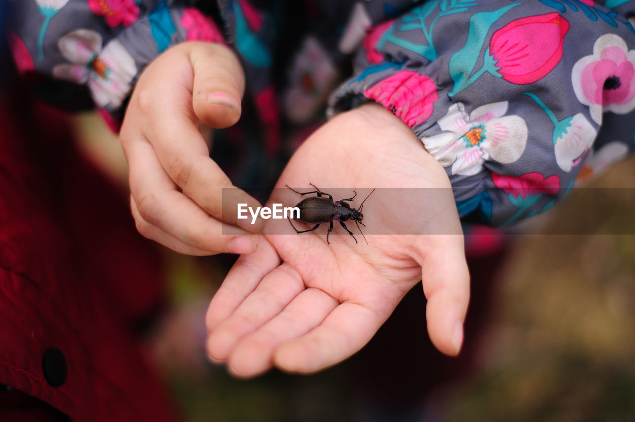 CLOSE-UP OF HAND HOLDING INSECT ON FINGER