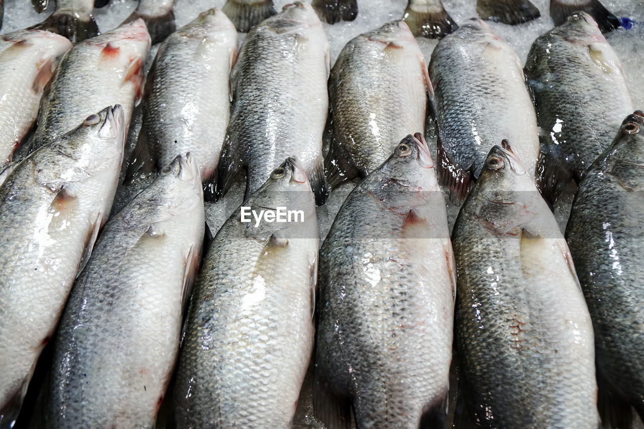 Full frame shot of fish for sale in market