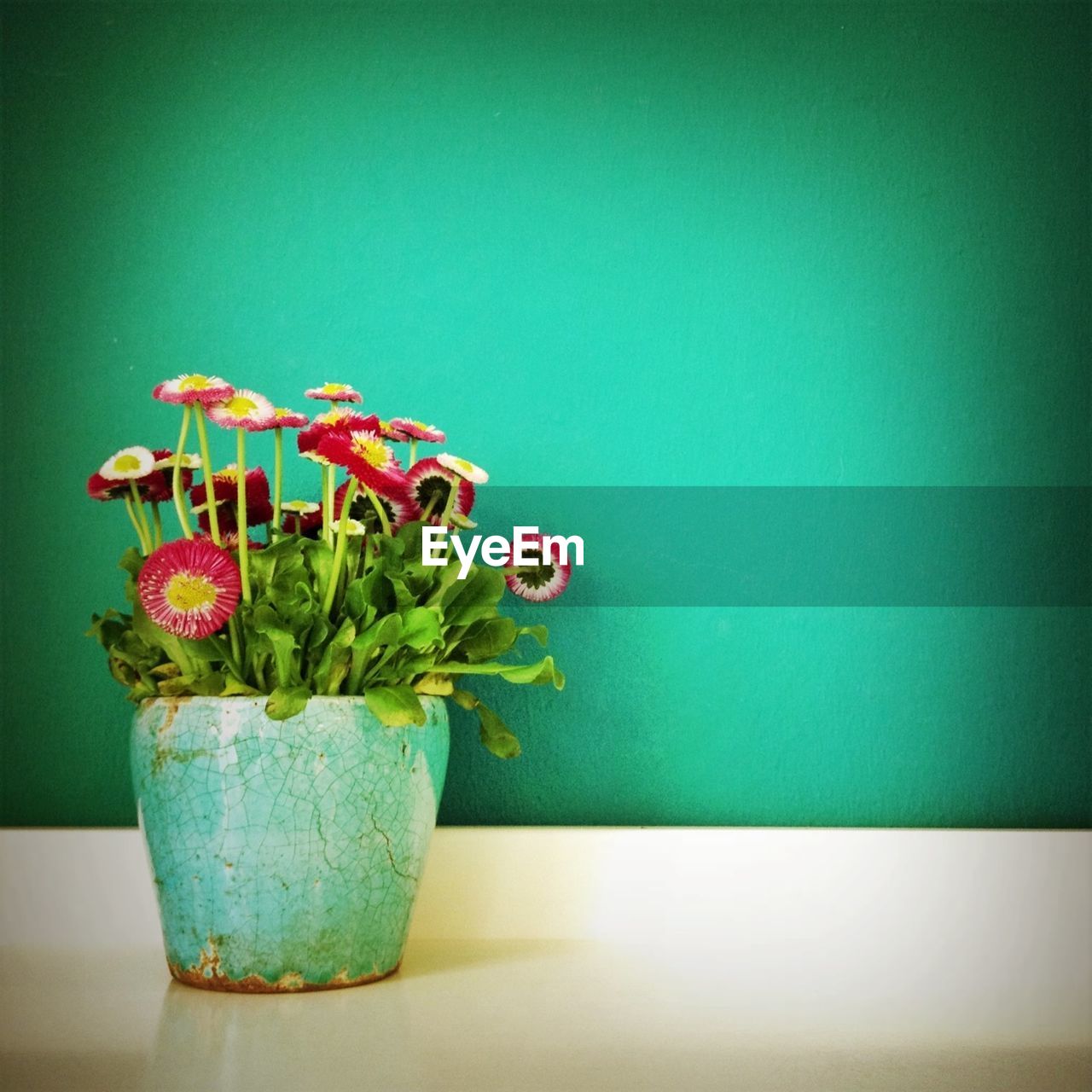 Flower pot on table against green background