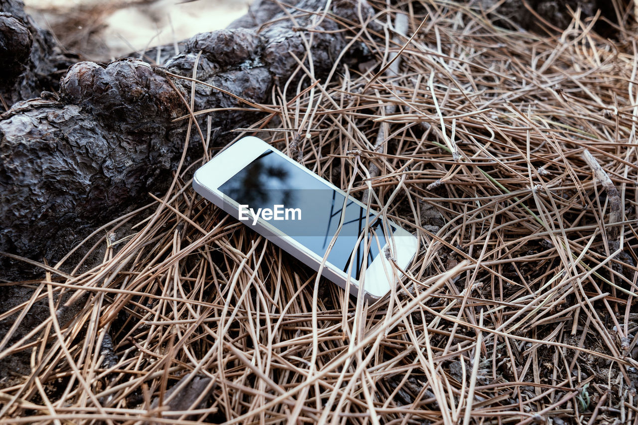 Smart phone lost in the forest. forgotten device concept