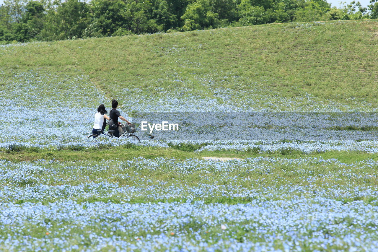 MAN AND DOG ON GRASS