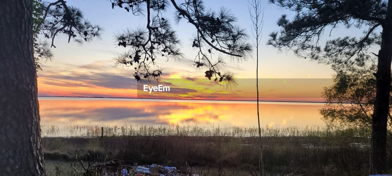 sky, plant, sunset, tree, beauty in nature, tranquility, nature, scenics - nature, water, tranquil scene, cloud, landscape, no people, environment, lake, land, reflection, idyllic, sun, non-urban scene, outdoors, sunlight, evening, grass, orange color, growth, tree trunk, trunk, silhouette, beach