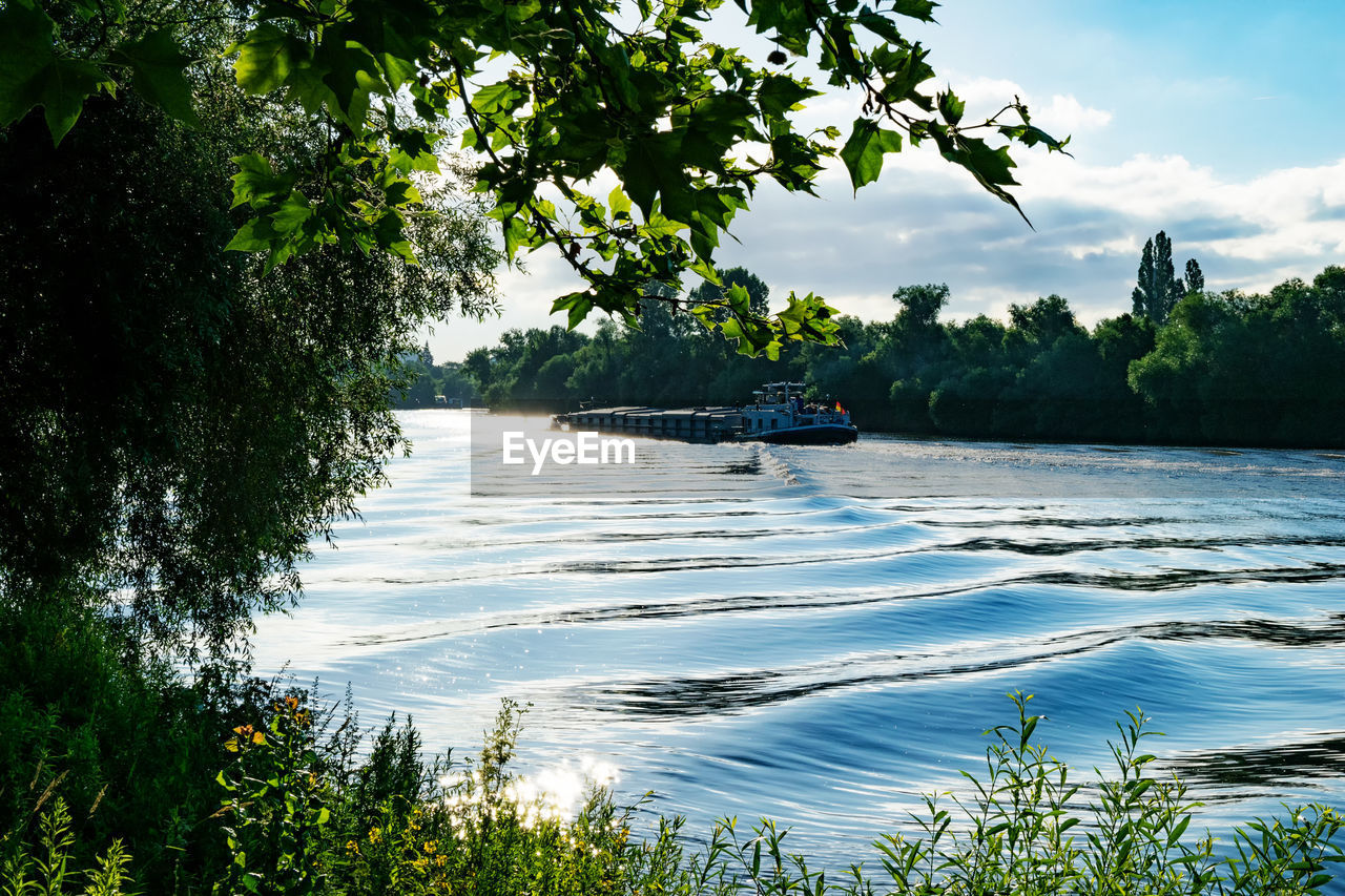 Boat moving on river by trees against sky