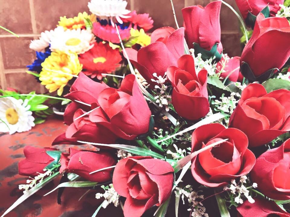 CLOSE-UP OF RED FLOWERS BLOOMING