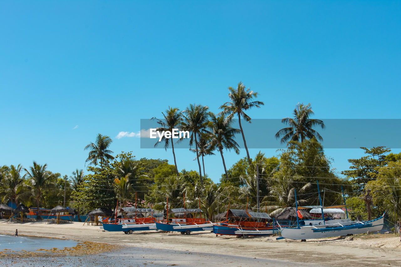 Palm trees and boat on beach against clear blue sky 