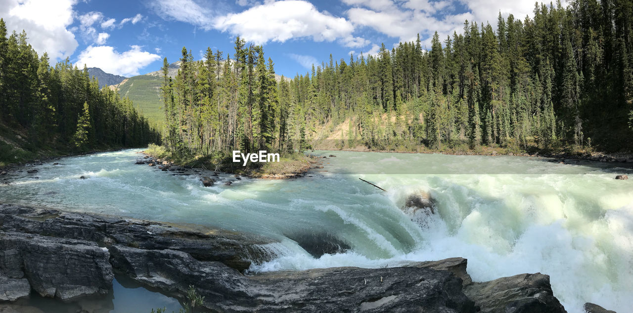 SCENIC VIEW OF WATERFALL